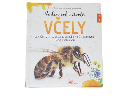 Jeden rok v životě včely